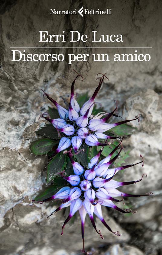 Discorso per un amico - Erri De Luca - copertina