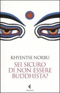 Sei sicuro di non essere buddhista? - Norbu Khyentse (Rinpoche) - copertina