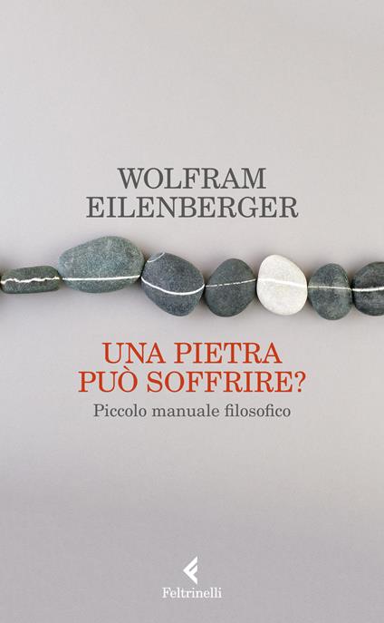 Una pietra può soffrire? Piccolo manuale filosofico - Wolfram Eilenberger - copertina