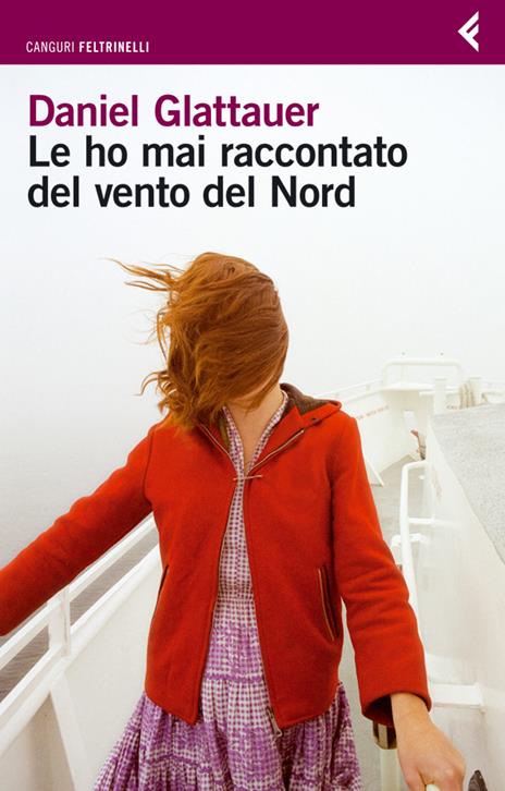 Le ho mai raccontato del vento del Nord - Daniel Glattauer - copertina