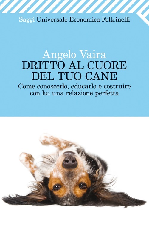 Libraccio