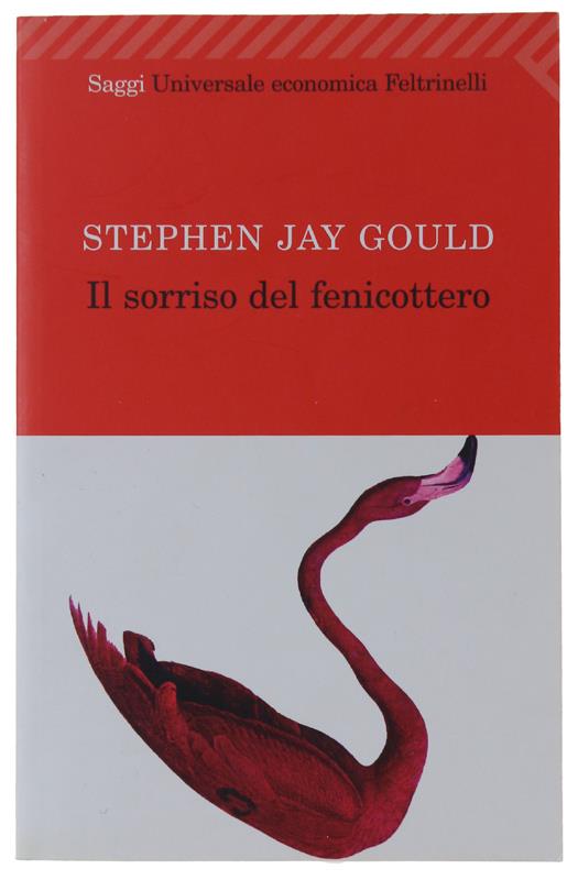 Bergoglio Libri d'Epoca Snc