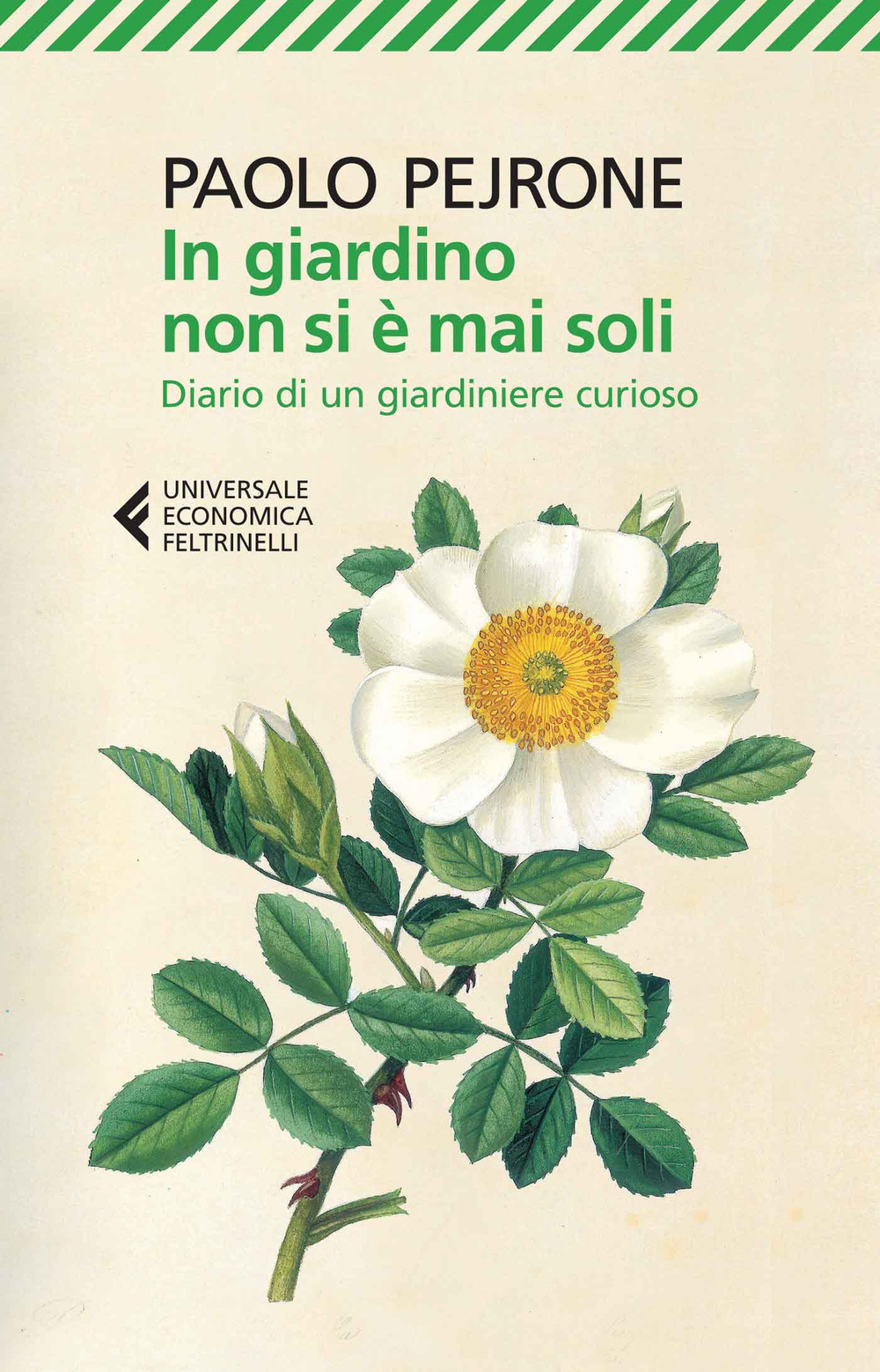 Libraccio
