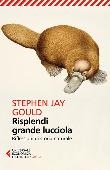 Risplendi grande lucciola. Riflessioni di storia naturale - Stephen Jay Gould - copertina