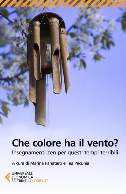 Che colore ha il vento? Insegnamenti zen per questi tempi terribili - copertina