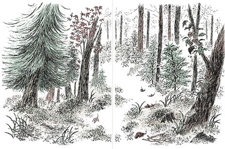 Gatto Mo e gli amici del bosco. Ediz. a colori - Choi Yeonju - 2