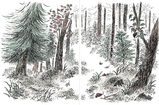 Gatto Mo e gli amici del bosco. Ediz. a colori - Choi Yeonju - 2