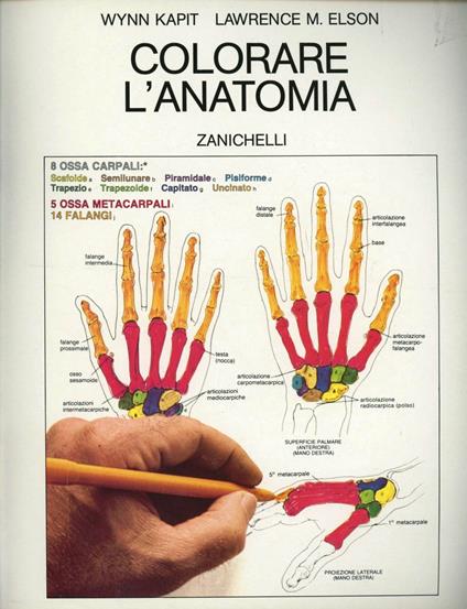 Colorare l'anatomia - Wynn Kapit,Lawrence M. Elson - copertina