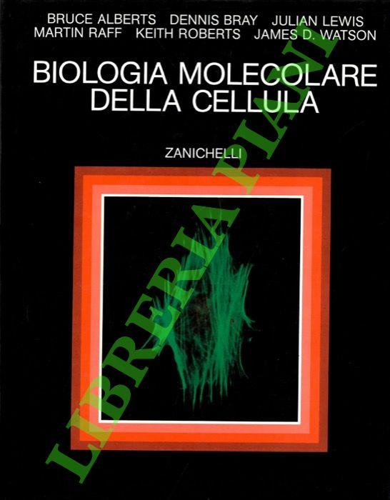 Libreria Piani