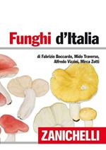 Funghi d'Italia