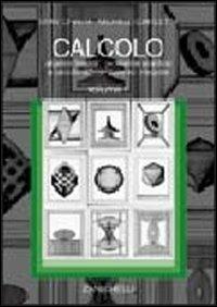 Calcolo. Vol. 1: Algebra lineare, geometria analitica e calcolo differenziale e integrale. - Stan Chirita,Michele Ciarletta - copertina