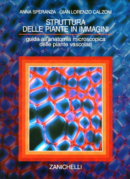 Struttura delle piante in immagini. Guida all'anatomia microscopica delle piante vascolari - G. Lorenzo Calzoni,Anna Speranza - copertina