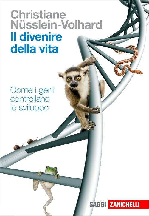 Biblioteca di Babele