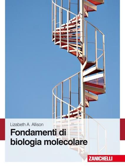 Fondamenti di biologia molecolare - Lizabeth A. Allison - copertina