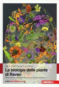 Biologia delle piante di Raven. Con Contenuto digitale per download: e-book