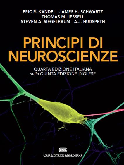 Principi di neuroscienze - Eric R. Kandel,James H. Schwartz,Thomas M. Jessell - copertina