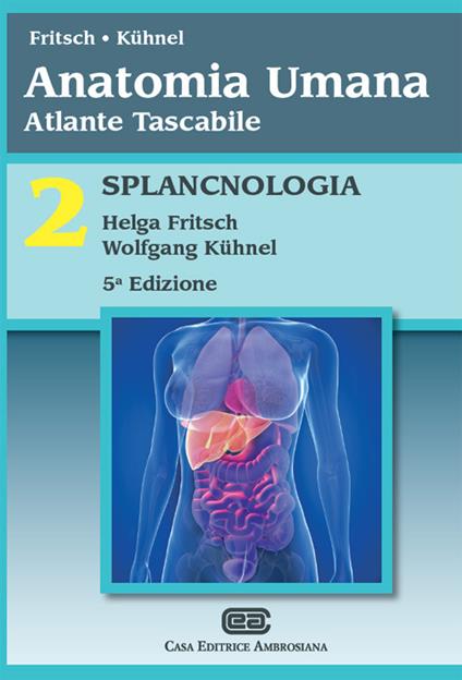 Anatomia umana. Atlante tascabile. Vol. 2: Splancnologia - Helga Fritsch,Wolfgang Kühnel - copertina