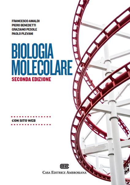 Biologia molecolare. Con Contenuto digitale (fornito elettronicamente) - copertina