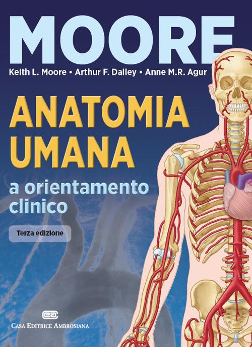 Anatomia umana e orientamento clinico. Con Contenuto digitale (fornito elettronicamente) - copertina