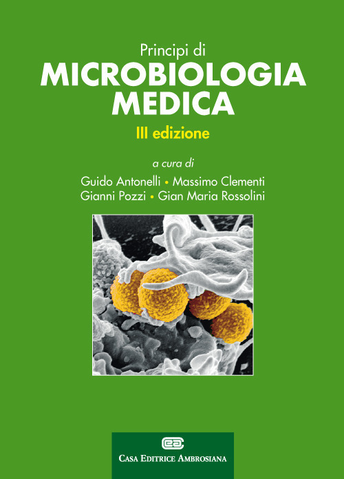 Libraccio