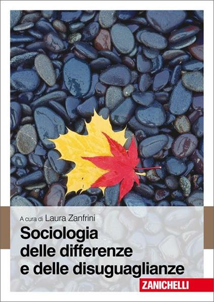 Sociologia delle differenze e delle disuguaglianze - copertina