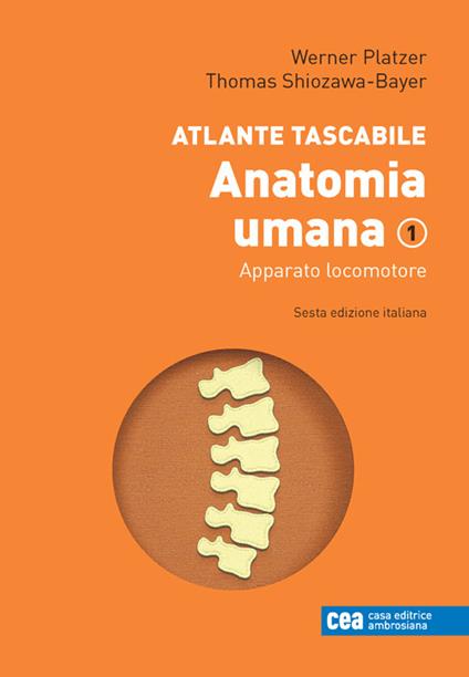 Atlante tascabile di anatomia umana. Con e-book. Vol. 1: Apparato locomotore - Werner Platzer,Thomas Shiozawa-Bayer - copertina