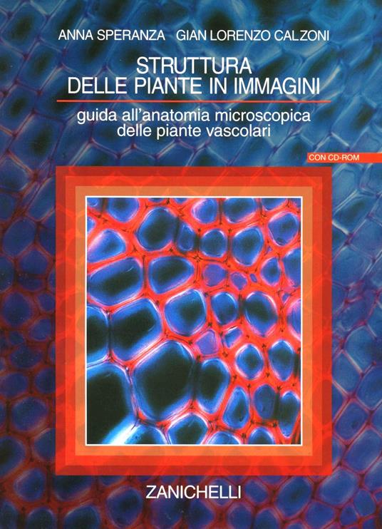 Struttura delle piante in immagini. Guida all'anatomia microscopica delle piante vascolari. Con CD-ROM - G. Lorenzo Calzoni,Anna Speranza - copertina