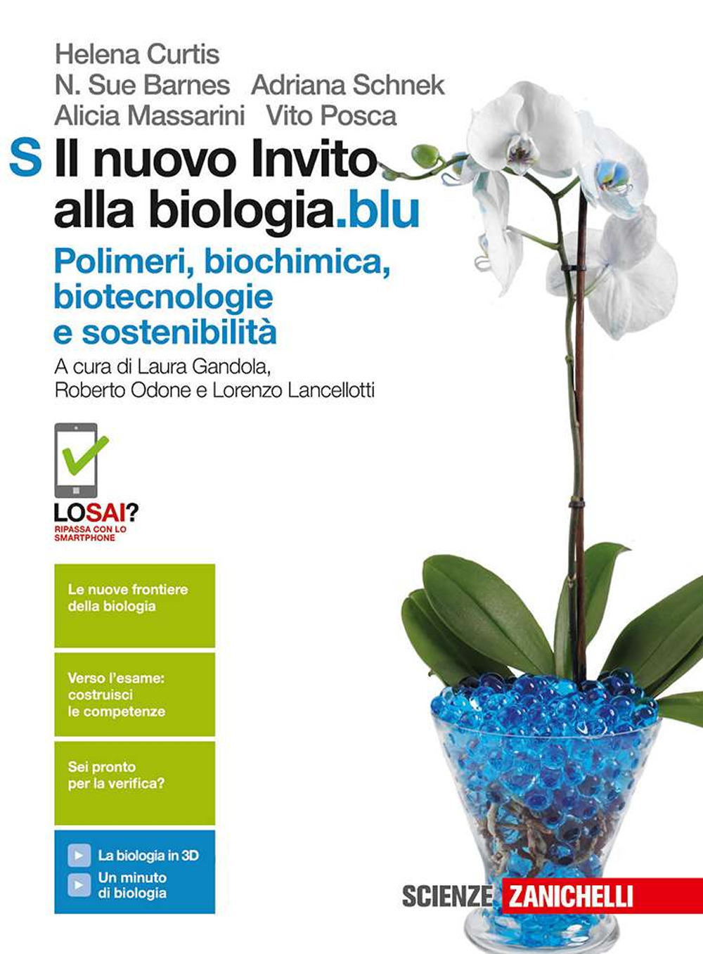 Libraccio
