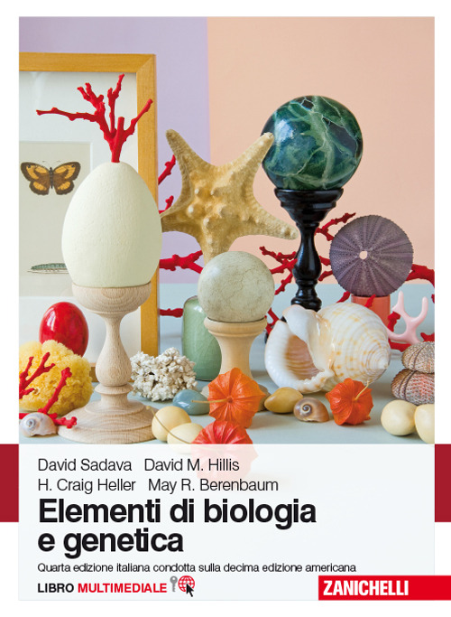 Libraccio