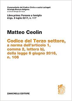 Codice del Terzo settore. a norma dell'articolo 1, comma 2, lettera b), della legge 6 giugno 2016, n. 106 - Matteo Ceolin - copertina