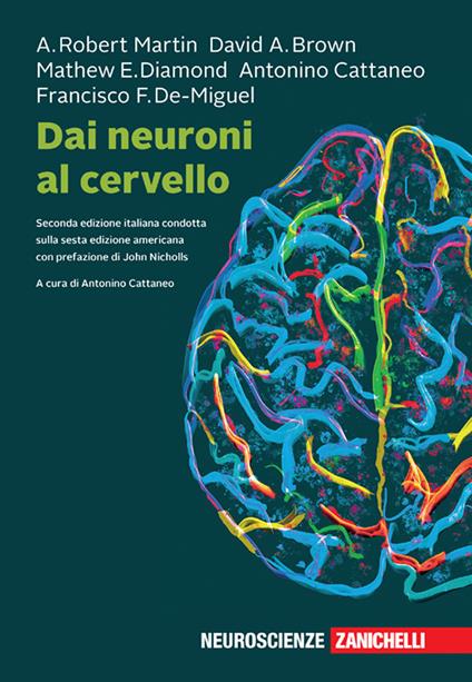 Dai neuroni al cervello. Con ebook - A. Robert Martin,David A. Brown,Mathew E. Diamond - copertina