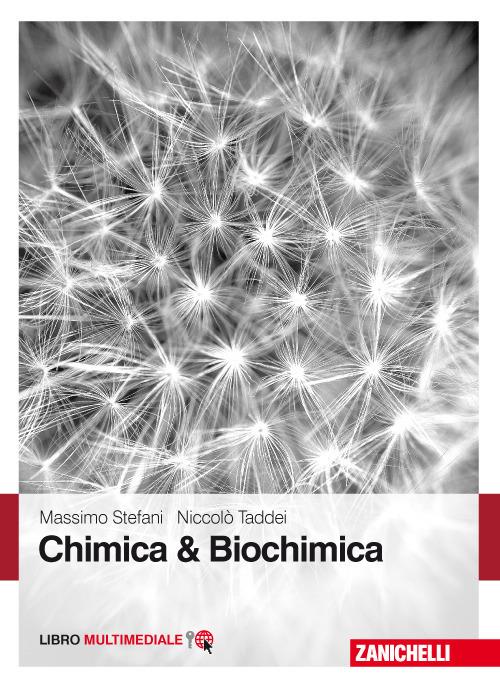 Chimica & biochimica. Con Contenuto digitale (fornito elettronicamente) - Massimo Stefani,Niccolò Taddei - copertina