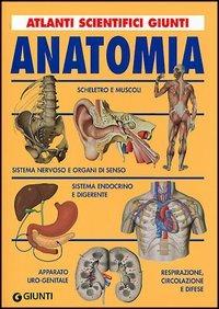 Anatomia. Ediz. illustrata - Adriana Rigutti - copertina