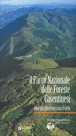 Il Parco nazionale delle foreste casentinesi