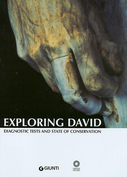 Exploring David. Diagnostic tests and state of conservation - copertina