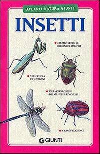 Insetti - Gabriele Pozzi - copertina