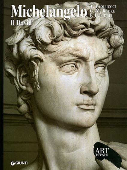 Michelangelo. Il David. Ediz. illustrata - Antonio Paolucci,Gary M. Radke,Franca Falletti - copertina