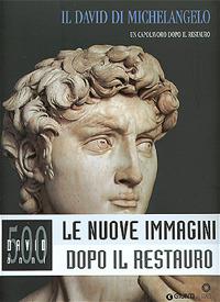 Il David di Michelangelo. Un capolavoro dopo il restauro. Ediz. illustrata - Franca Falletti - copertina