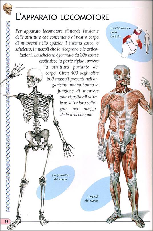 Il corpo umano. Ediz. illustrata - 3