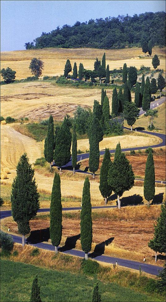 Terre di motori. Lombardia, Emilia Romagna, Toscana, Sicilia - 6