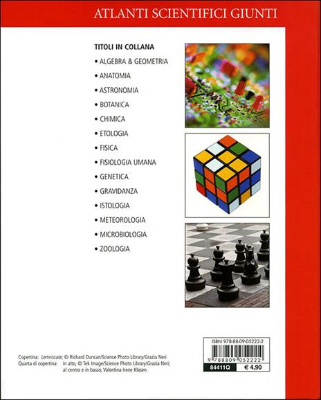 Algebra e geometria - Daniela Bubboloni,Nazario Renzoni - 2