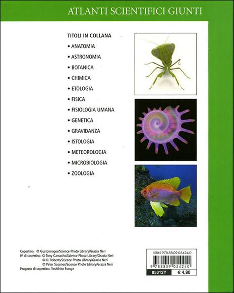 Zoologia. Ediz. illustrata - Adriana Rigutti - 2