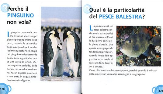 Gli animali. Ediz. illustrata - Mariagrazia Bertarini,Paola Fabris,Elisa Prati - 5