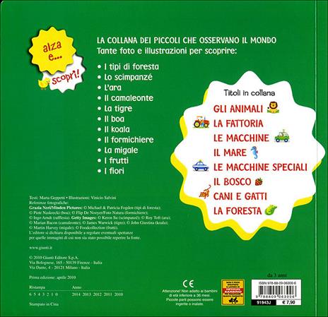 La foresta - Marta Geppetti - 3