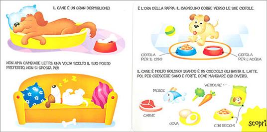 Cani e gatti - Veronica Pellegrini - 4