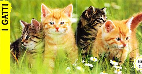 Cani e gatti - Veronica Pellegrini - 5