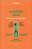 F.E.N. Libreria