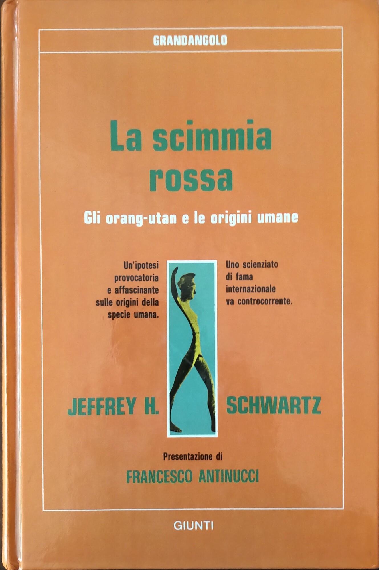 Librisaggi
