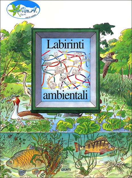Labirinti ambientali - copertina
