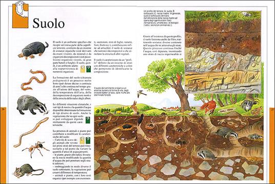 Labirinti ambientali - 2